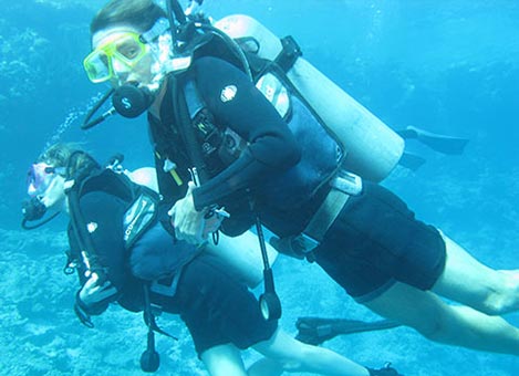 Vetocean